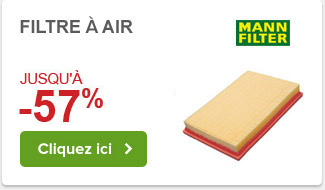 Filtre à air
