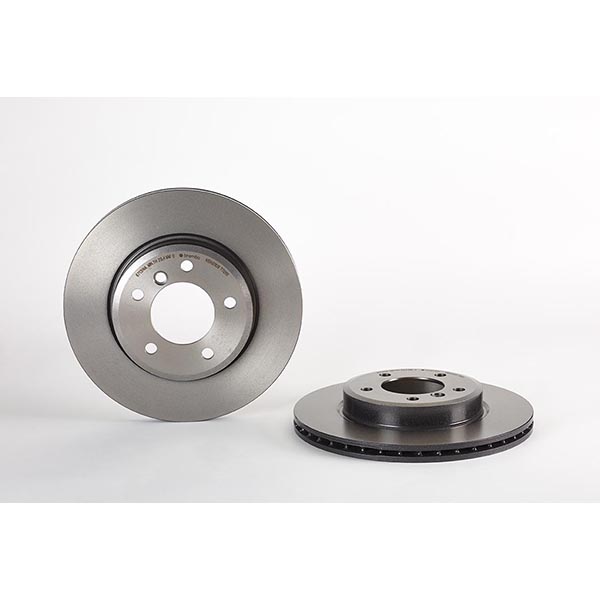 Brembo Front Brake Disc ( 300x22)