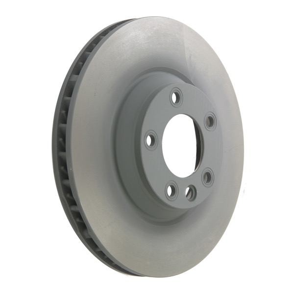 Pagid Brake Disc