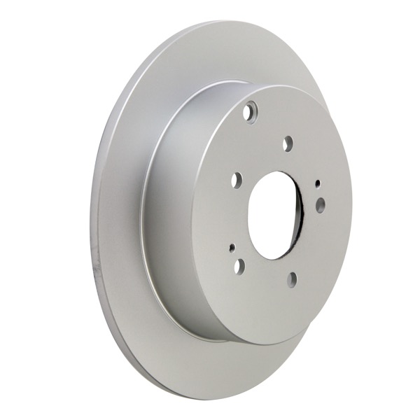 Pagid Rear Solid Disc 302mm