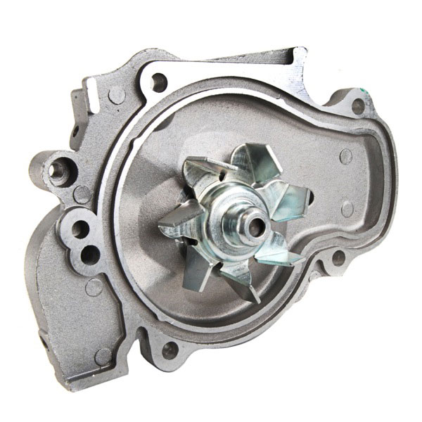 Circoli ##water Pump  Various Honda          Various Models