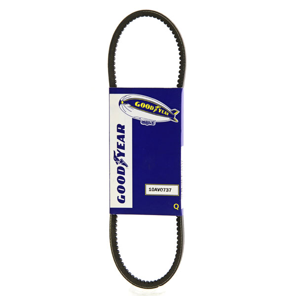 Dayco Drive Belt Euro Car Parts