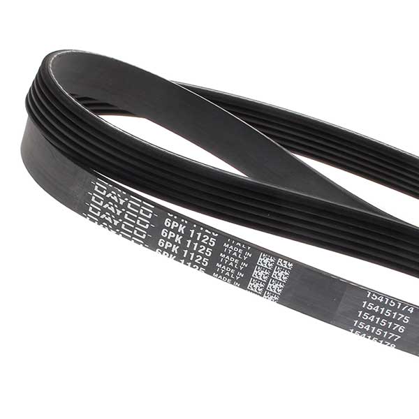 Dayco Drive Belt | Euro Car Parts