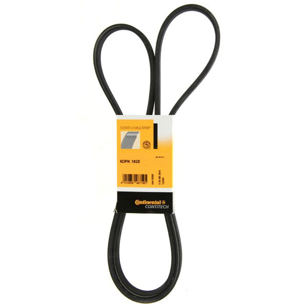 Dayco S80 Fan Belt                       5/6 Cylinder Engines Petrol
