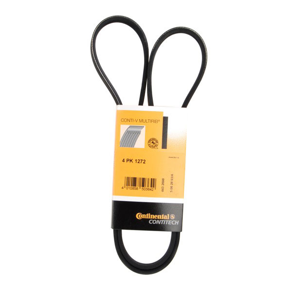 Dayco Drive Belt                         Drive Belt
