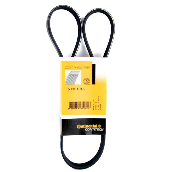 Dayco Drive Belt   Citroen  Ford  Mazda  Peugeot