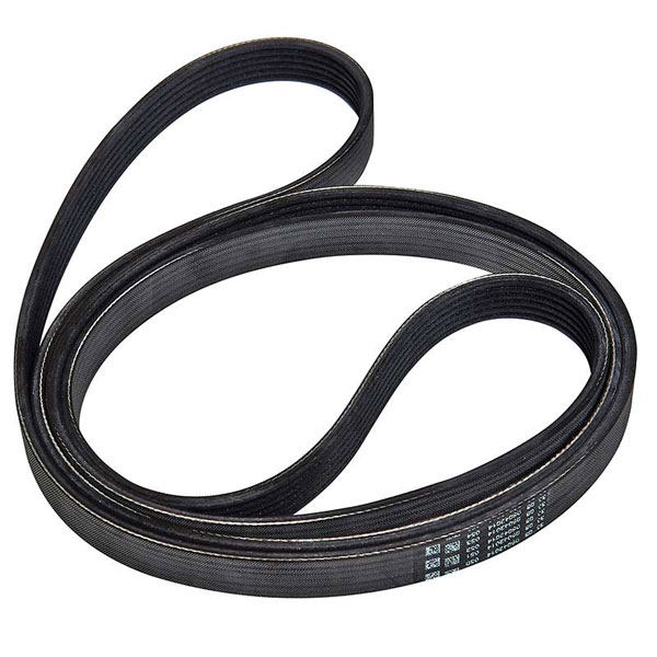Dayco Drive Belt Euro Car Parts