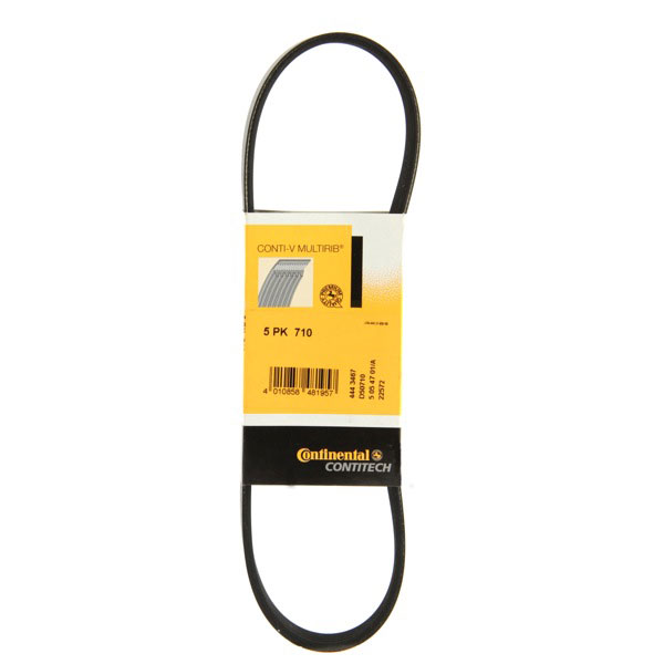 Dayco Drive Belt Euro Car Parts