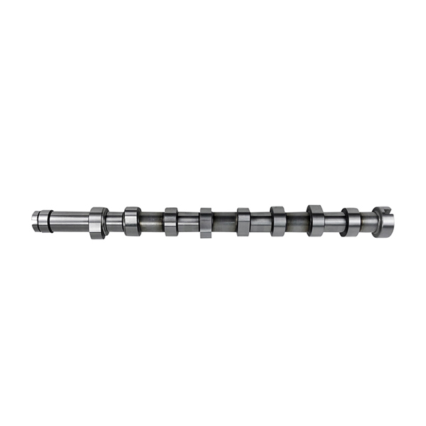 MOTIVE Camshaft Peugeot 207 308 Expert 1.6Hdi 07> | Euro Car Parts