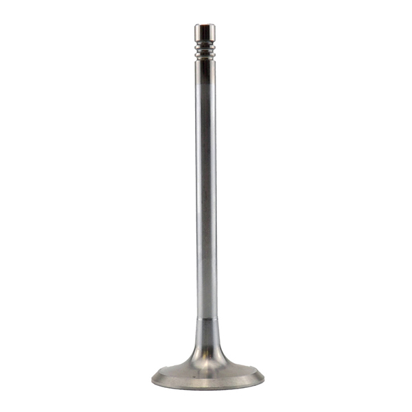 MOTIVE Exhaust Valve
