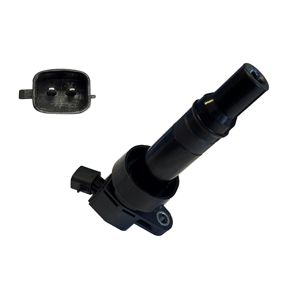 ERA Ignition Coil