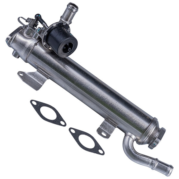 ERA | Euro Car Parts マルコ水着 限定品