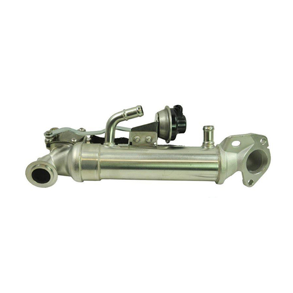 VM EGR Valve Cooler