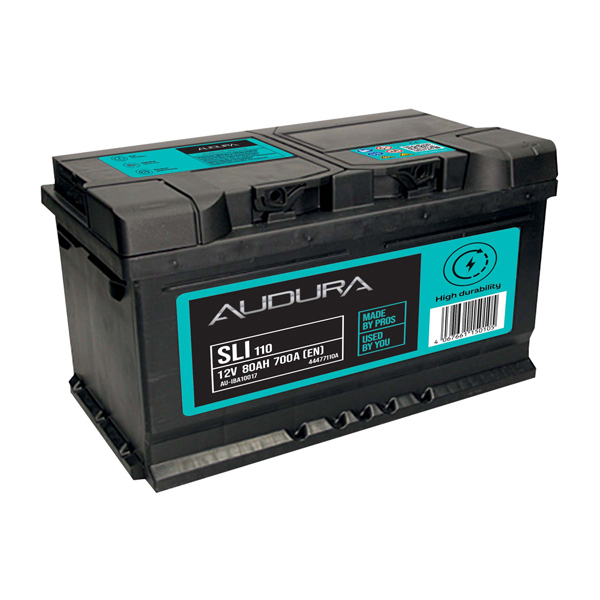 Audura 110 Battery - 3 Year Guarantee