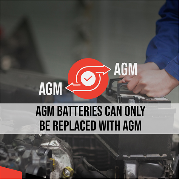 Lion AGM Stop/Start 019 95AH 850CCA Car Battery - 3 year Guarantee