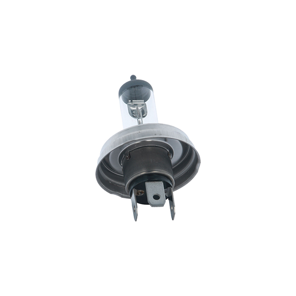 ERA P45T R2 12V 45/40W - SINGLE BULB