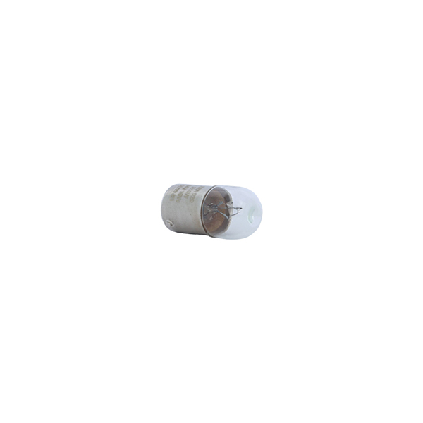 ERA R10W 246 24V 10W - SINGLE BULB