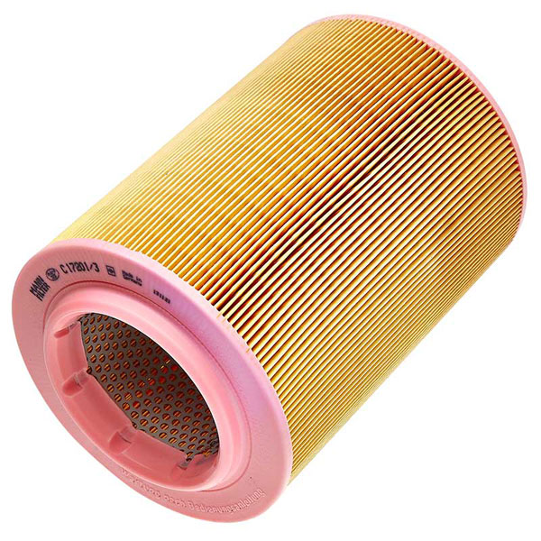 MANN-FILTER Air Filter