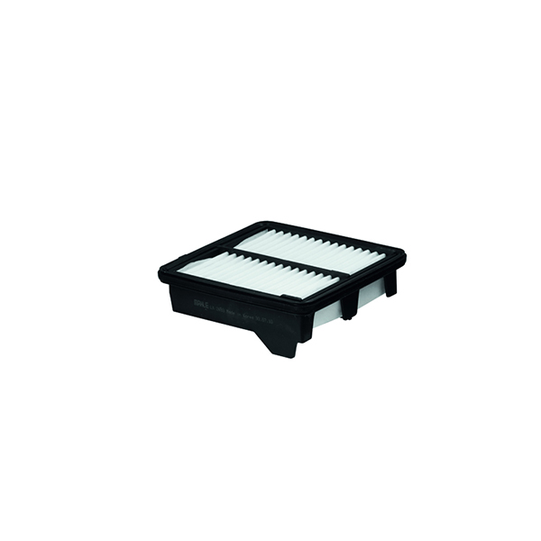 Mahle Air Filter