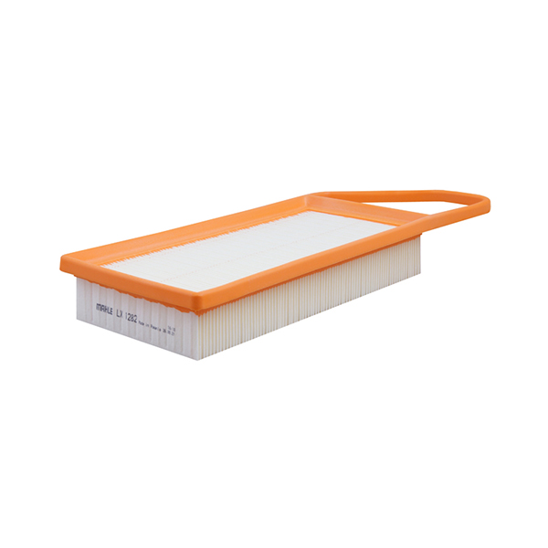 Mahle Air Filter
