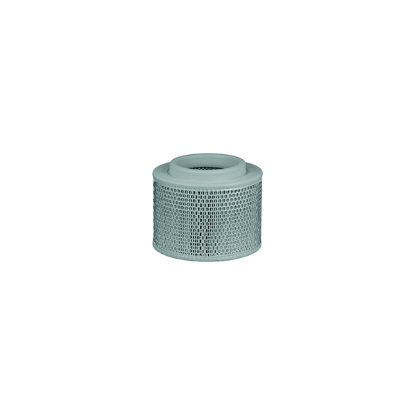 Mahle Air Filter