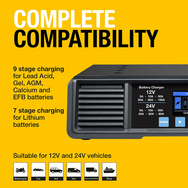 Ring RSCP10024 Smartcharge PRO 100A