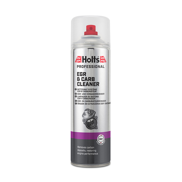 Holts Professional Carburettor & Egr Cleaner 500ml