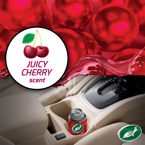 Turtlewax Odor-X Whole Car Blast 100ml Cherry