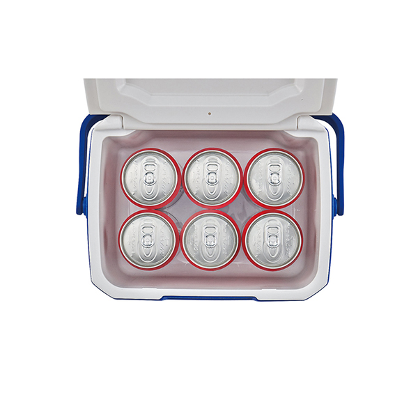 Coleman 5QT Performance Personal Cooler 4.7L
