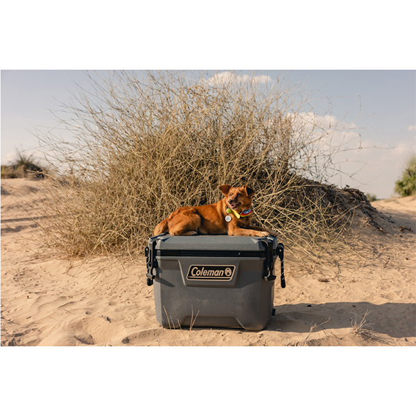Coleman 55QT Convoy Cooler Box 53L