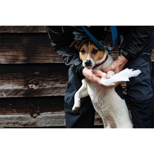 Life Pet XXL Clothwipes 80 Pack