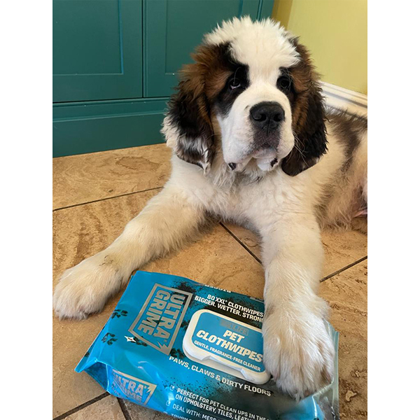 Life Pet XXL Clothwipes 80 Pack