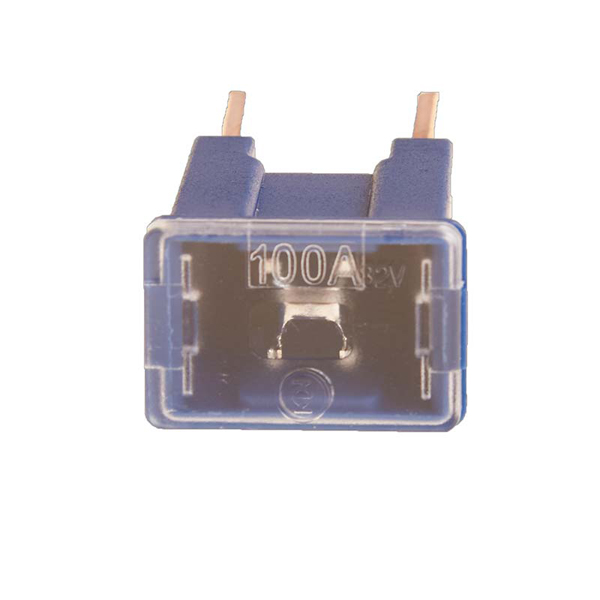 Pearl PK OF 5FUSE SLOW BLOW MALE PLUG IN 100 AMP
