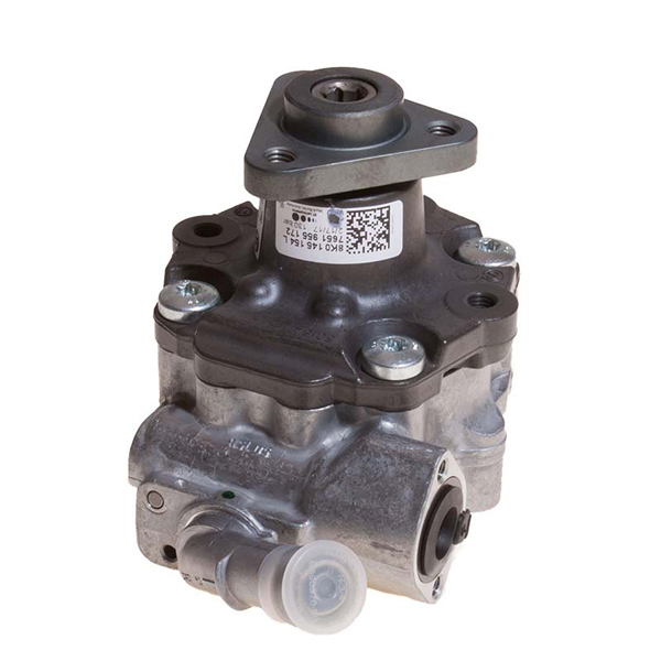 Bosch PAS Pump