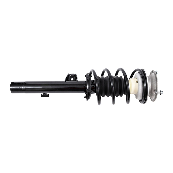 Starline Strut Assembly with Spring
