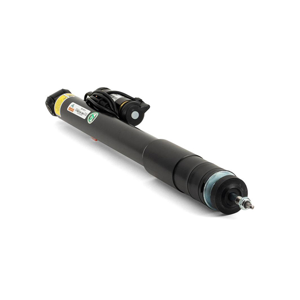 Arnott Shock Absorber