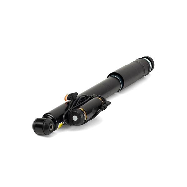 Arnott Shock Absorber