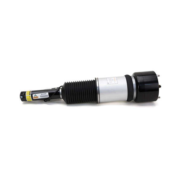 Arnott Air Spring Unit
