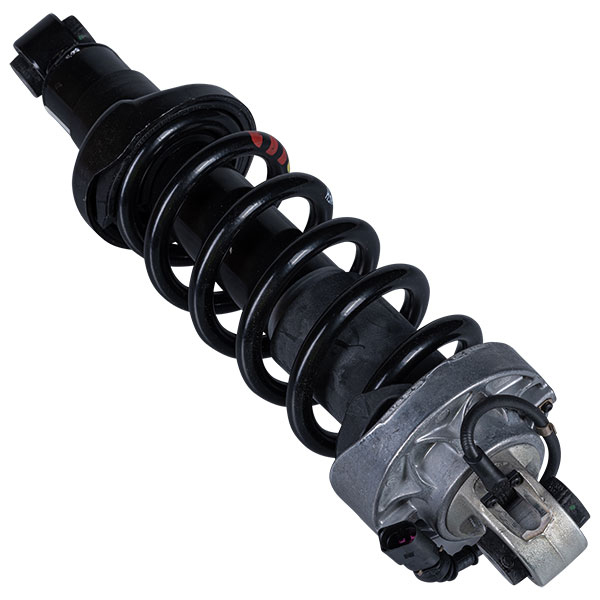 VM Magnetic Shock Absorber Complete Unit With Spring Rear Left Hand Audi R8 | Euro Car Parts