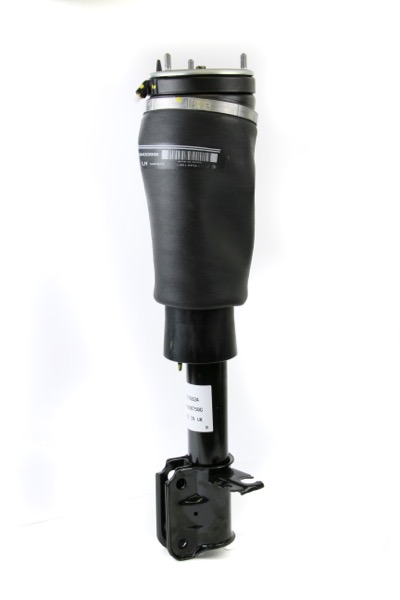 Arnott Air Spring Unit
