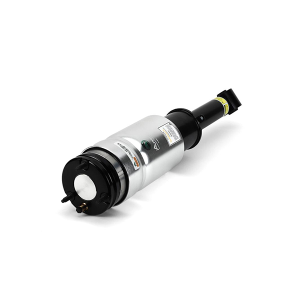 Arnott Air Spring Unit