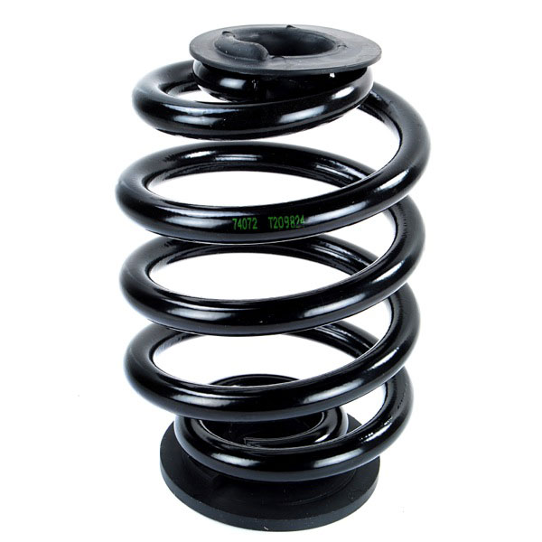 Sachs Coil Spring