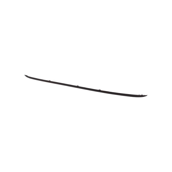 Aftermarket Bumper Trim Strip
