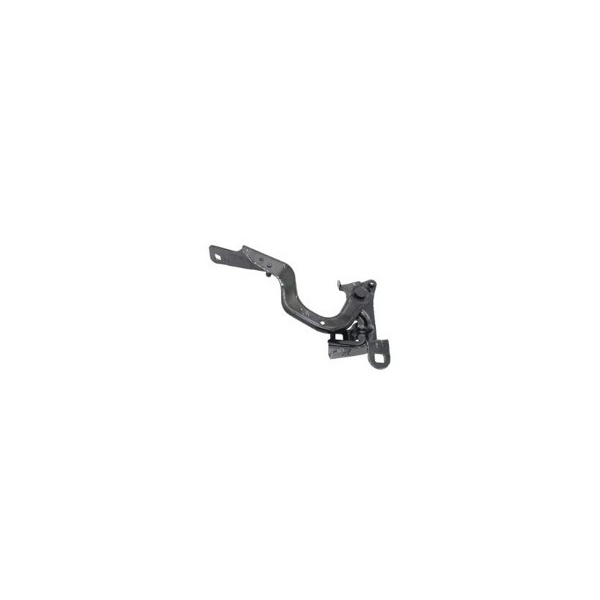 Platinum Approved Bonnet Hinge