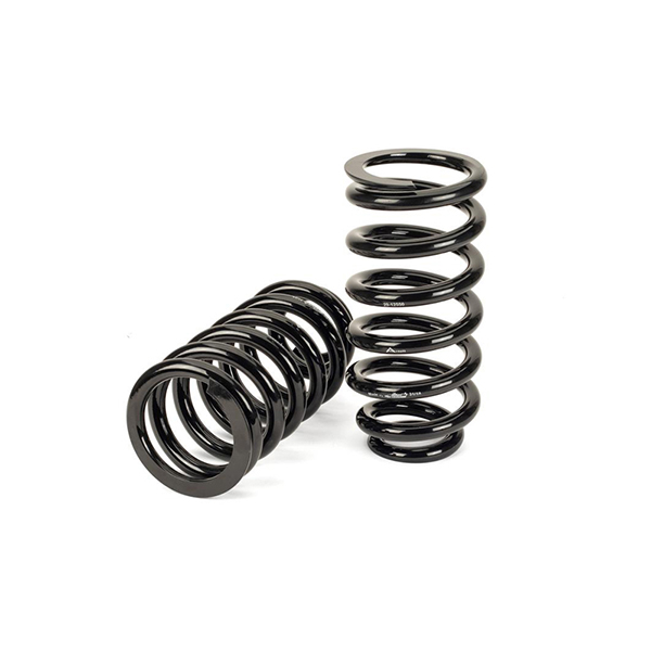 Arnott Coil Spring Conversion Kit