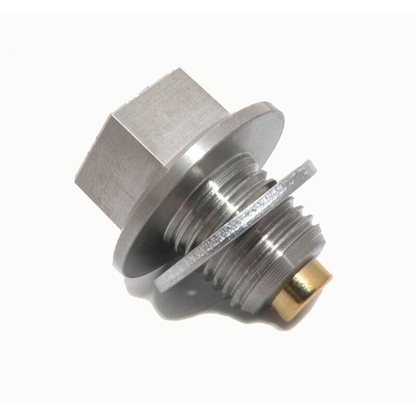 Gold Plug Reusable