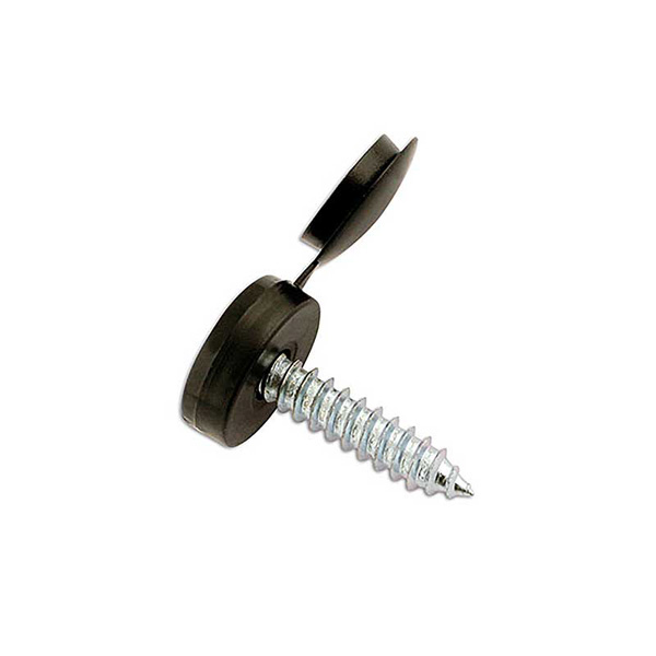 Number Plate Security Screw Black Pack 100 Euro Car Parts