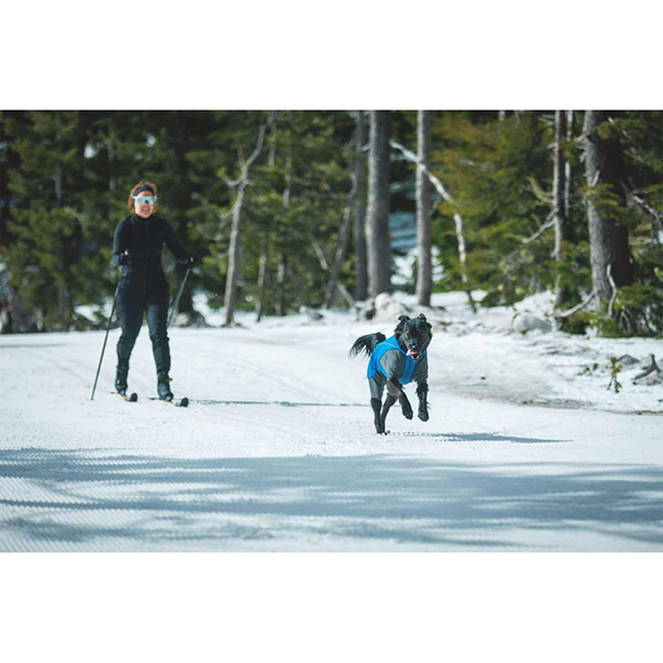Ruffwear Vert Coverall Dog Snow Suit in Blue Pool (X Small)