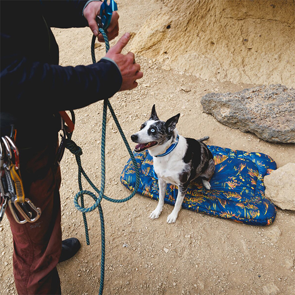 Ruffwear Basecamp Dog Bed in Deep Jungle (Large)