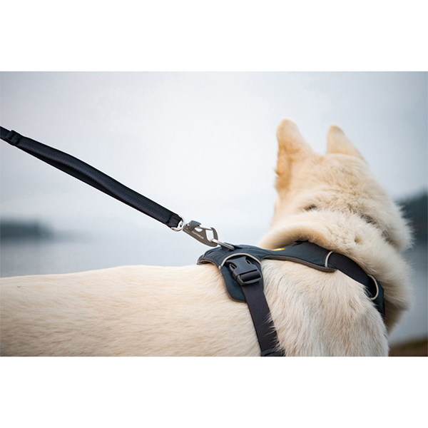 Ruffwear Front Range Dog Harness in Basalt Grey (X Small)